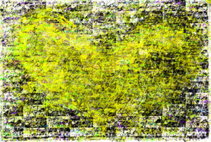 geel -hartje-homoseksualiteit-prostaatkanker-