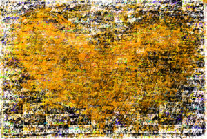 oranje-hartje-homoseksualiteit-prostaatkanker-