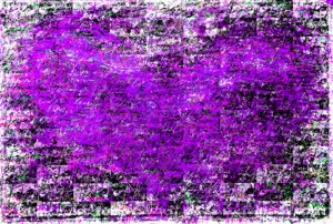 paars-hartje-homoseksualiteit-prostaatkanker-